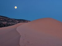 Coral Pink Dunes10