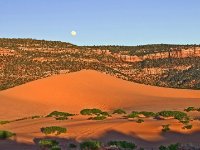 Coral Pink Dunes