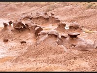 Central Utah01036