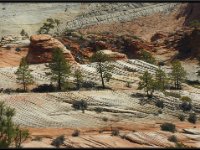 Zion