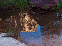 Zion4