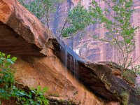 Zion5