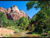 Zion7