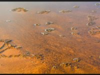 A29A4019 : Geysers, Yellowstone