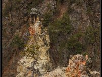 A29A5766 : Scenery and Foliage, Yellowstone