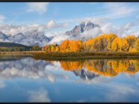 A29A6060 : Scenery and Foliage, Yellowstone