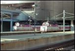 Click on one of the size names above to enlarge this image Click on one of the size names above to enlarge this image