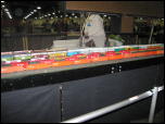 Click on one of the size names below to enlarge this image