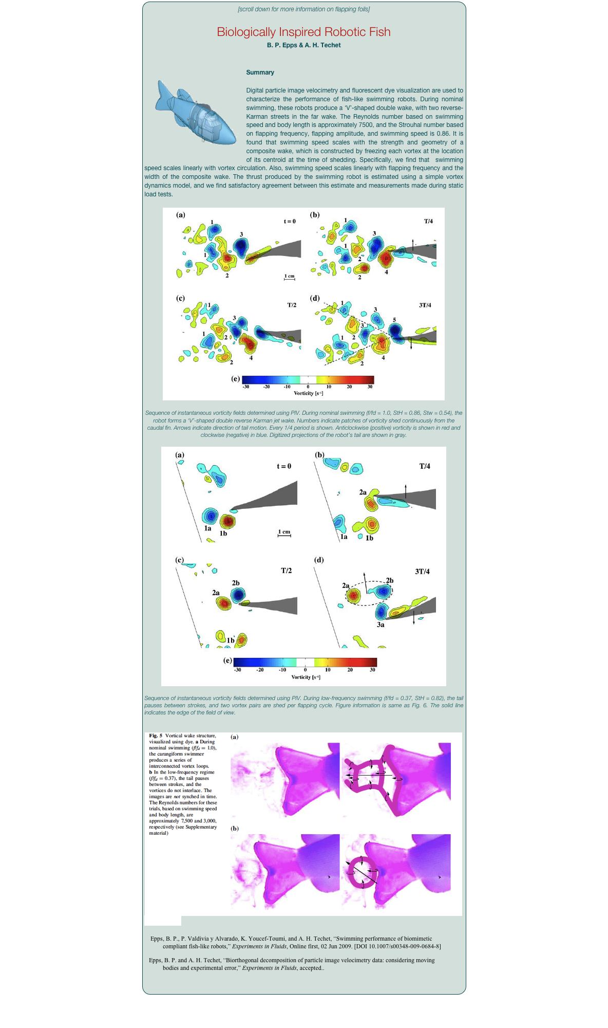 [scroll down for more information on flapping foils]   

Biologically Inspired Robotic Fish
B. P. Epps & A. H. Techet

  
Summary￼

Digital particle image velocimetry and fluorescent dye visualization are used to characterize the performance of fish-like swimming robots. During nominal swimming, these robots produce a ‘V’-shaped double wake, with two reverse-Karman streets in the far wake. The Reynolds number based on swimming speed and body length is approximately 7500, and the Strouhal number based on flapping frequency, flapping amplitude, and swimming speed is 0.86. It is found that swimming speed scales with the strength and geometry of a composite wake, which is constructed by freezing each vortex at the location of its centroid at the time of shedding. Specifically, we find that  swimming speed scales linearly with vortex circulation. Also, swimming speed scales linearly with flapping frequency and the width of the composite wake. The thrust produced by the swimming robot is estimated using a simple vortex dynamics model, and we find satisfactory agreement between this estimate and measurements made during static load tests.

￼

Sequence of instantaneous vorticity fields determined using PIV. During nominal swimming (f/fd = 1.0, StH = 0.86, Stw = 0.54), the robot forms a ‘V’-shaped double reverse Karman jet wake. Numbers indicate patches of vorticity shed continuously from the caudal fin. Arrows indicate direction of tail motion. Every 1/4 period is shown. Anticlockwise (positive) vorticity is shown in red and clockwise (negative) in blue. Digitized projections of the robot’s tail are shown in gray.

￼

Sequence of instantaneous vorticity fields determined using PIV. During low-frequency swimming (f/fd = 0.37, StH = 0.82), the tail pauses between strokes, and two vortex pairs are shed per flapping cycle. Figure information is same as Fig. 6. The solid line indicates the edge of the field of view.


￼
References

 Epps, B. P., P. Valdivia y Alvarado, K. Youcef-Toumi, and A. H. Techet, “Swimming performance of biomimetic compliant fish-like robots,” Experiments in Fluids, Online first, 02 Jun 2009. [DOI 10.1007/s00348-009-0684-8]
Epps, B. P. and A. H. Techet, “Biorthogonal decomposition of particle image velocimetry data: considering moving bodies and experimental error,” Experiments in Fluids, accepted..