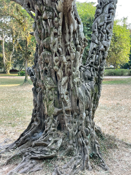 The Tree of Life