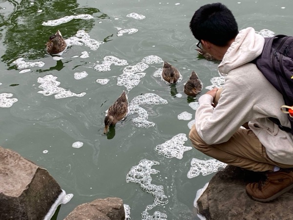 Me and some ducks