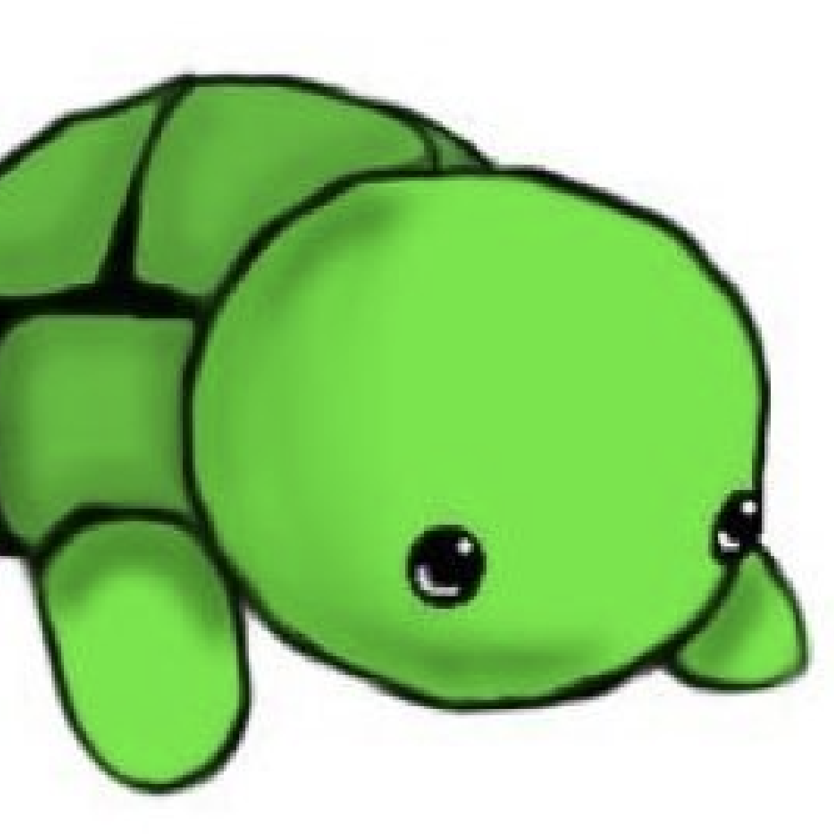 Turtle icon