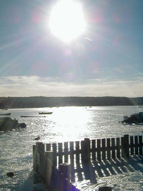 sky-northport-frozen