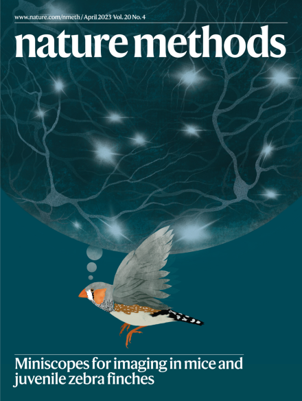 journal cover for our microscope paper, done by Julia Kuhl