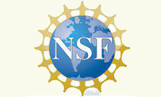 NSF