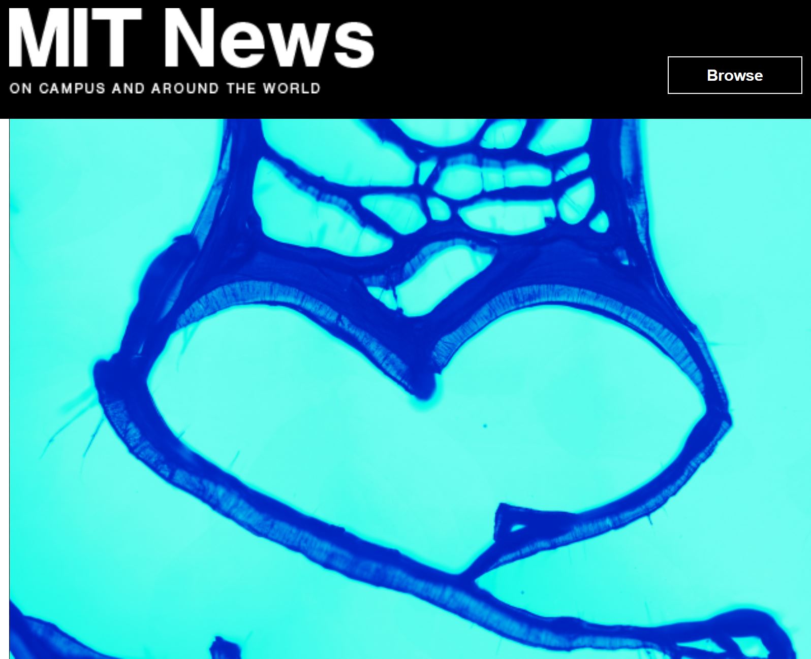 Carbon Nanotube Heart MIT News