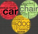 picture of word cloud with grouped terms
