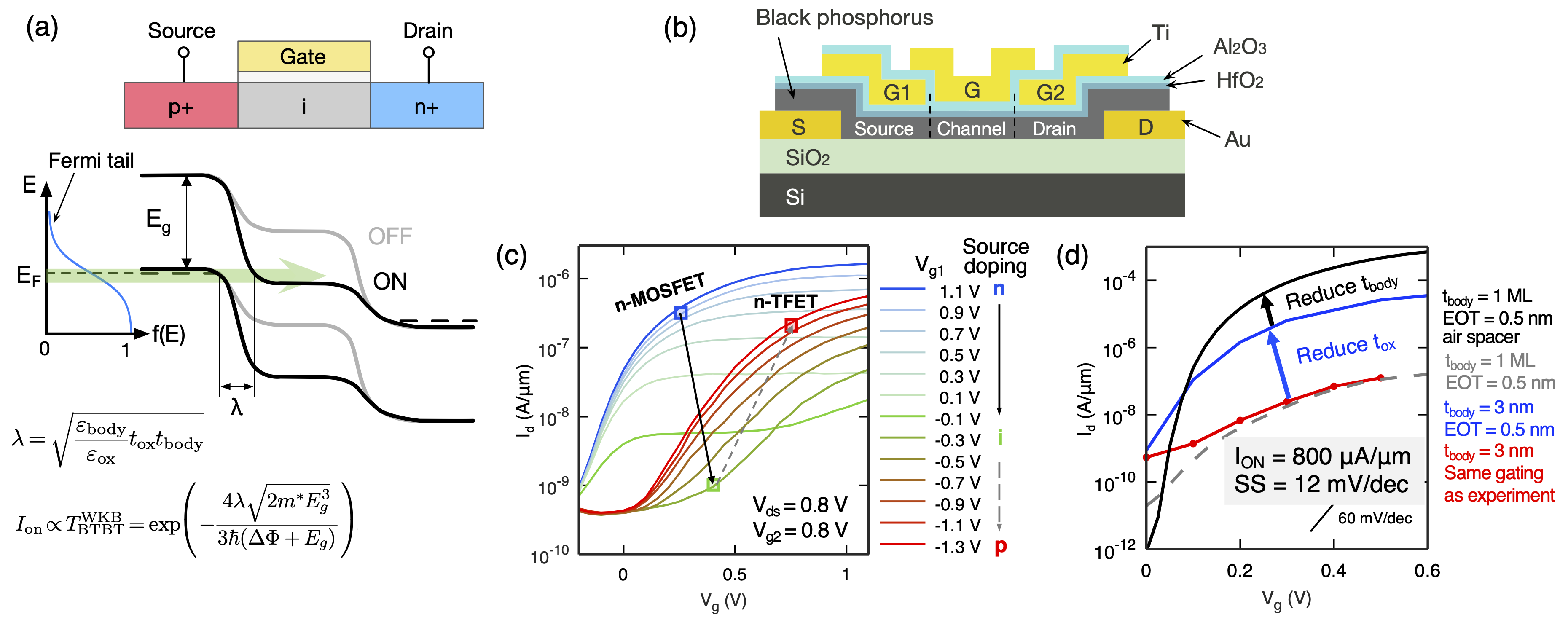 Black phosphorus TFET