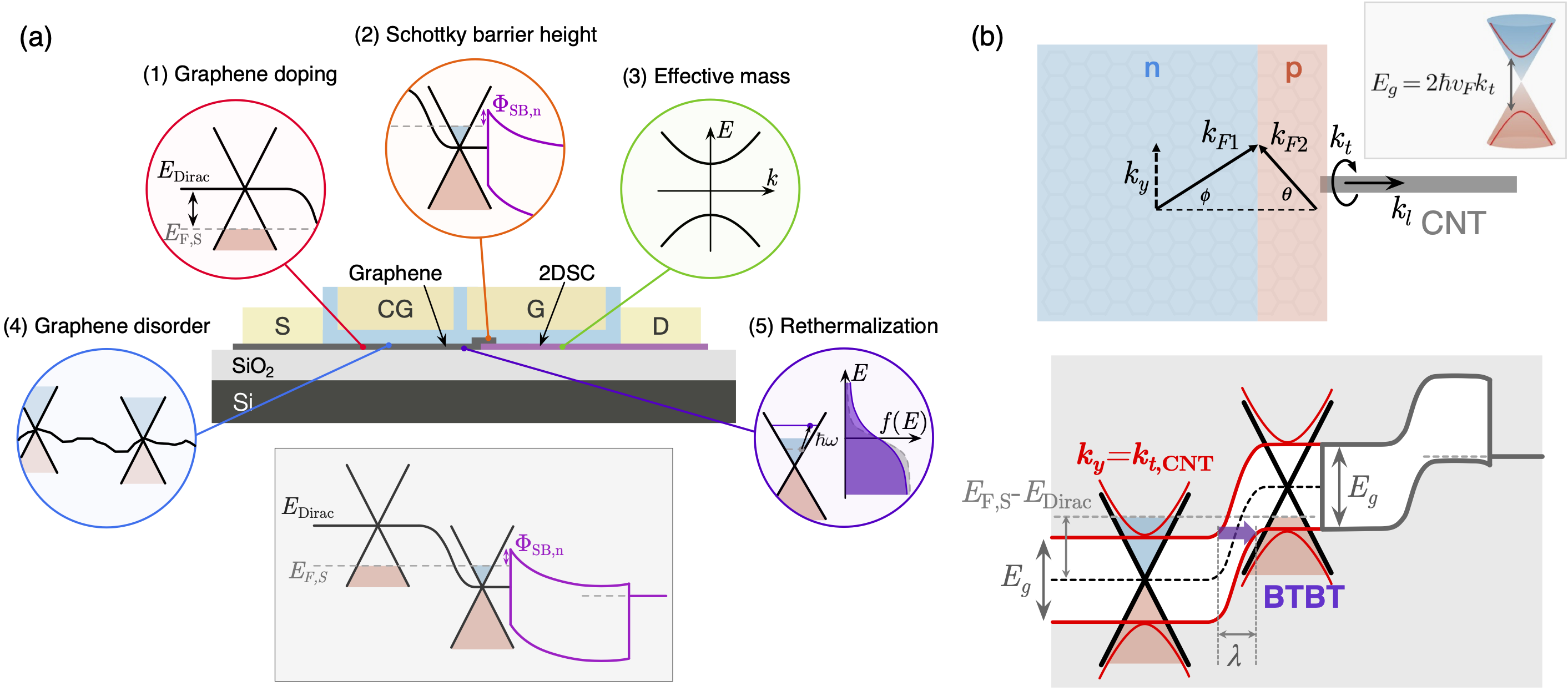 DS-FET design considerations