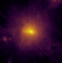 surface density projection of gas