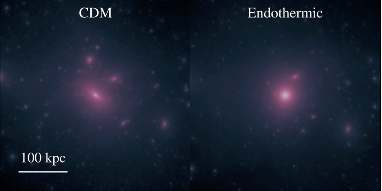 side-by-side comparison of two halos with different dark matter models